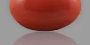 Red Coral Gemstone 10.80 Carat