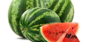 Fresh Watermelon