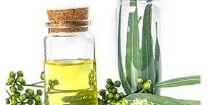 Eucalyptus Oil