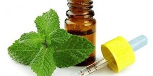 Spearmint Oil