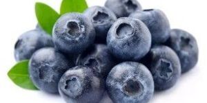 Fresh Blueberry