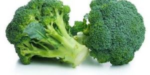 Fresh Broccoli