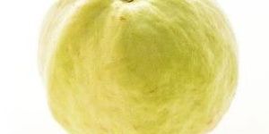 Fresh Guava White Big