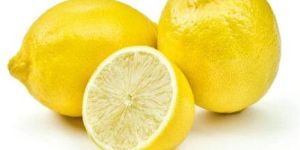 Fresh Lemon