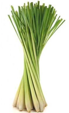 Fresh Lemongrass