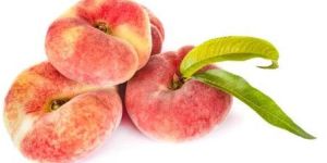 Fresh Peach Flat