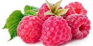 Fresh Raspberry
