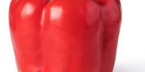 Fresh Red Bell Pepper