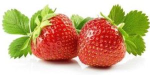 Fresh Strawberry