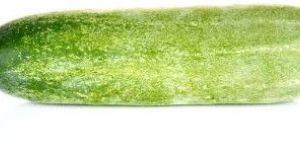 Indian Cucumber