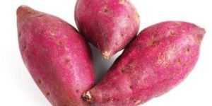 Sweet Potato
