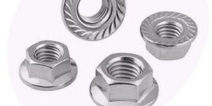 Hex Flange Nut
