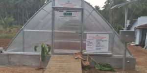 Poly Carbonate Green House Type Dryer