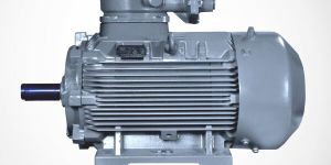 Standard Flame Proof Motors