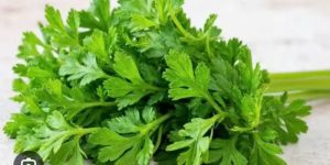 Parsley Leaves
