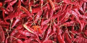 Dried Red Chili