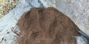 Cow Dung Compost Manure