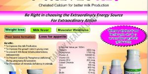 G Calvet Ad3 Animal Calcium Supplement