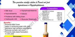 G-Power Calcium Ionic Gel