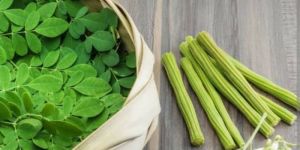 Moringa Leaves
