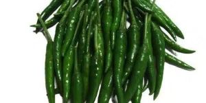 a Grade Fresh Green Chilli