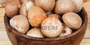 Areca Nut