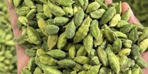 Green Cardamom