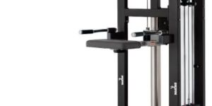 Platinum Chinup Machine