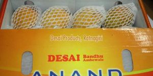 Geographical Indication Certified Alphonso Mangoes