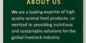 Cattle Feed