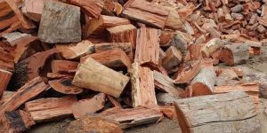 Firewood