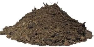 Cow Dung Powder