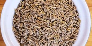 Cumin Seed Jeera