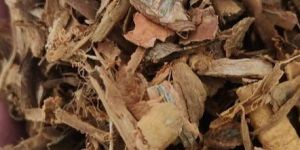 Kerala Cinnamon Chips