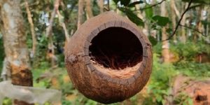 Coconut Shell Bird Nest