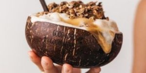 Coconut Shell Ice Cream Cups