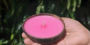 Coconut Shell Pink Diya