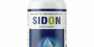 Sidon Systemic Fungicide