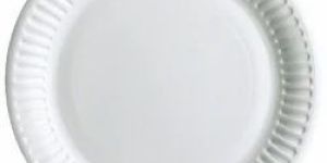 7 Inch 120 GSM Standard Paper Plate
