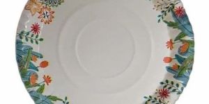 8 Inch 200 GSM Color Strength Paper Plate