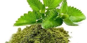 Organic Pure Tulsi Powder