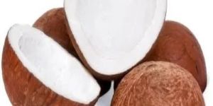 Dry Coconut Copra