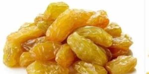 Organic Golden Seedless Raisin