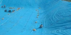 4mm HDPE Pond Liner Sheet