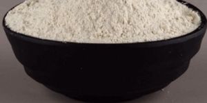 Dehydrated White Onion Powder