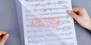 Neelgagan Plastic Transparent L Folder File