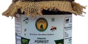 Organic Honey Wild Forest 250 Gram