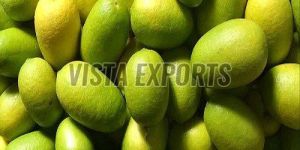 A Grade Kaji Nemu Lemon