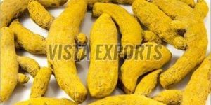 Lakadong Turmeric Finger
