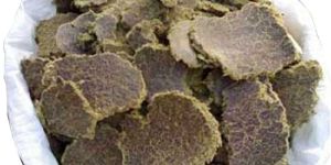 Cotton Seed Oil Cake